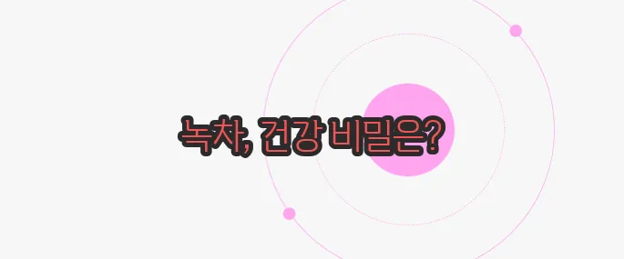 녹차 효능 가볍게 살펴볼까요