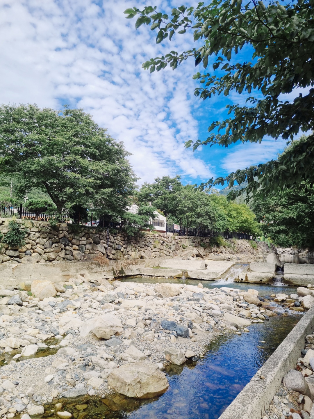 사과 향기 캠핑장 앞 계곡