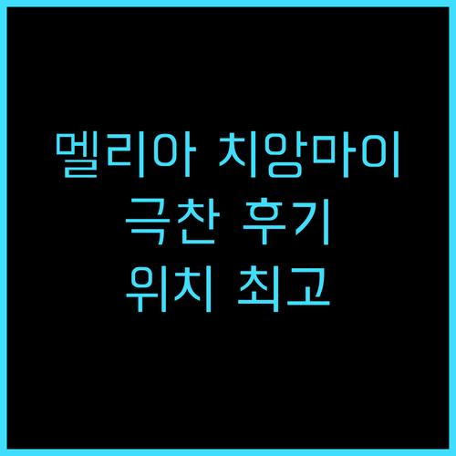 멜리아 치앙마이 호텔 추천 후기! 치..