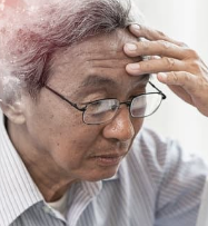 75세 이상자 운전면허증 갱신 방법 및 반납