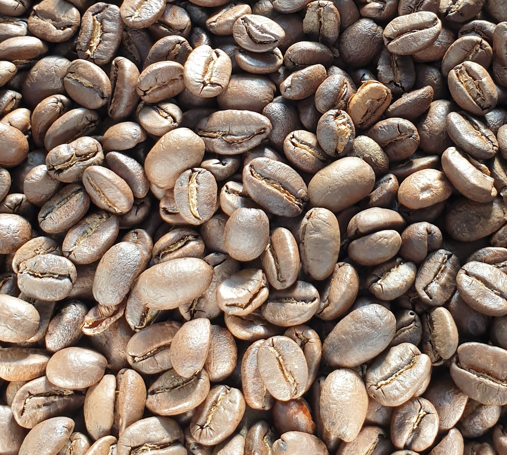 커피 초보자 로스팅 썸네일