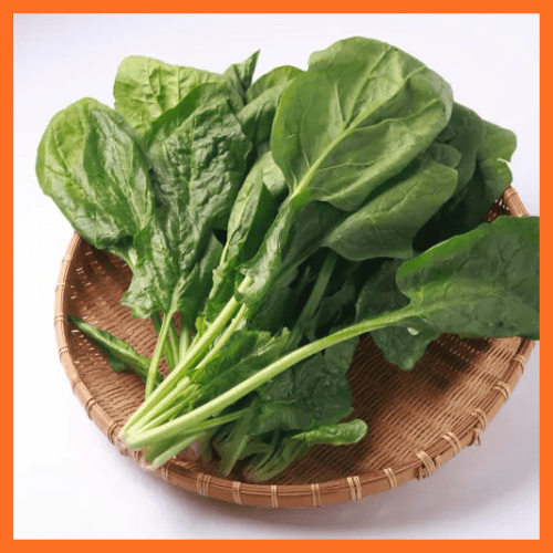 루테인 풍부 시금치