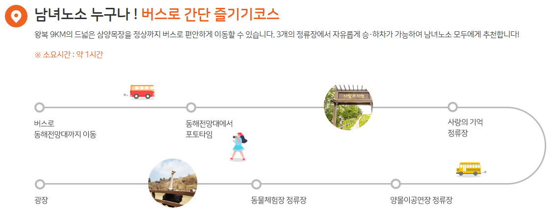 대관령 삼양목장