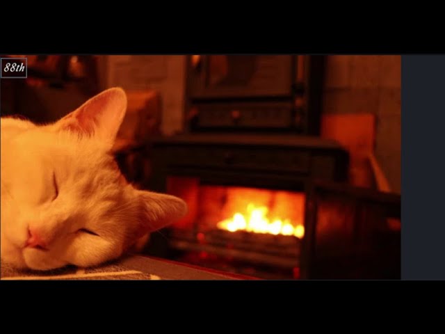 생생정보 황토방 만들기 짓는법 시공방법 소개 조회 수 71만 뷰 귀농 맥가이버의 구들방 집 유튜브