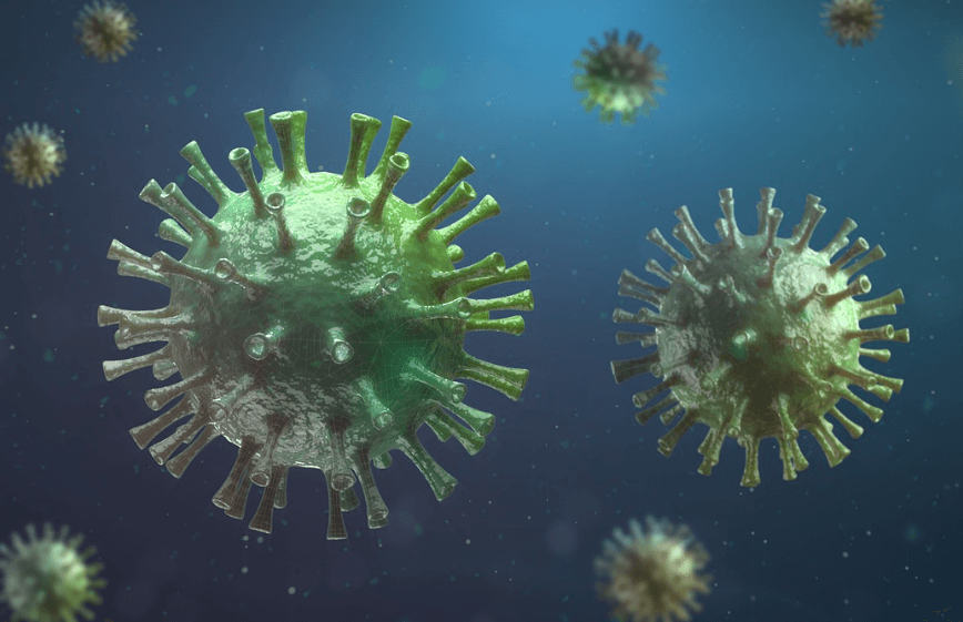 니파 바이러스란?