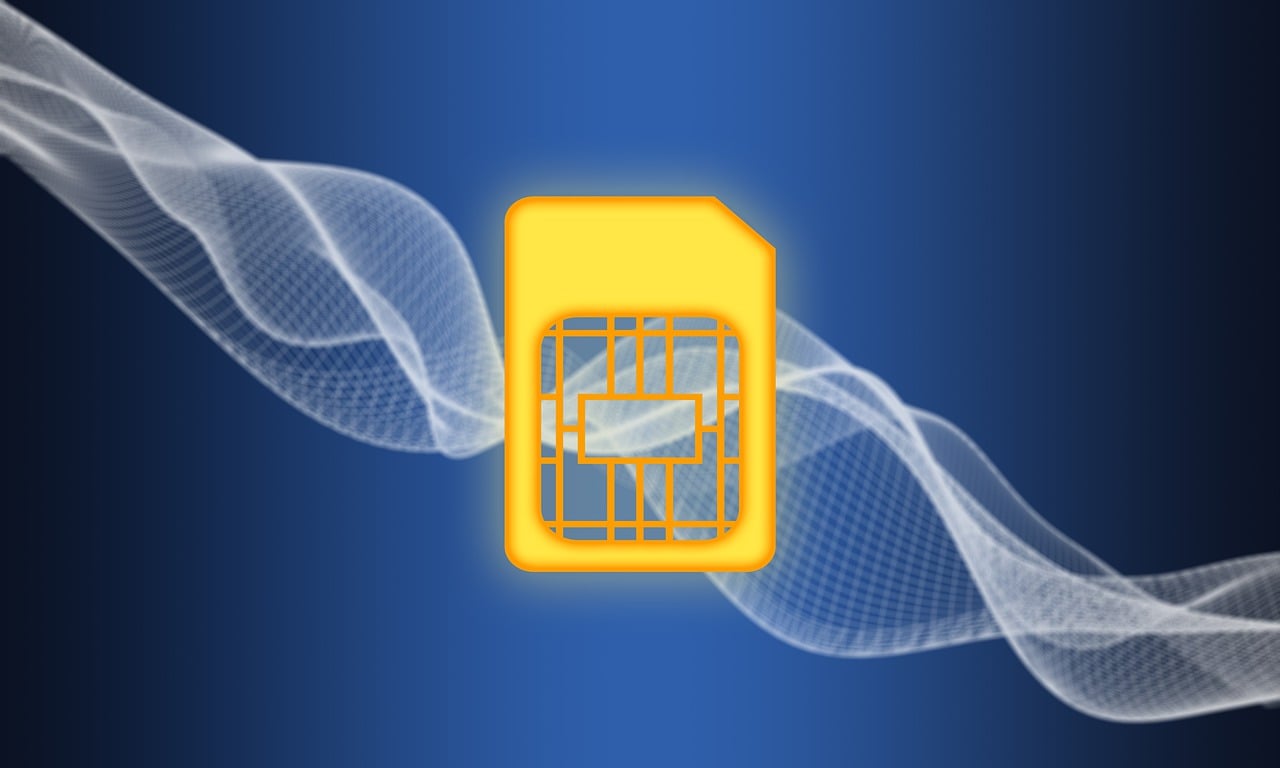 이심 사용법 일본 베트남 데이터로밍 유심 차이점