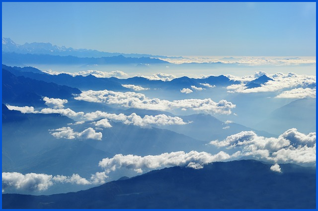 기후동행카드 신청