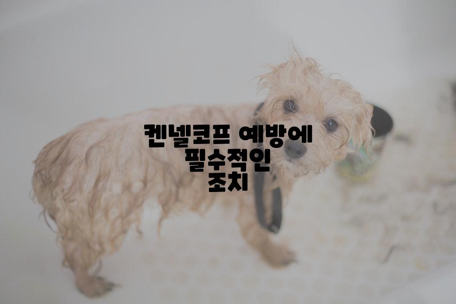 켄넬코프 예방에 필수적인 조치