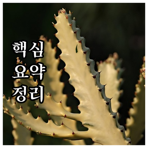강북구 대형폐기물 온라인 배출, 4단..