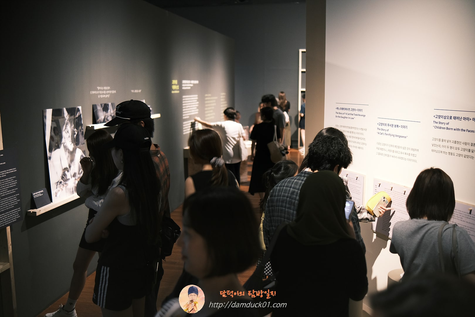 귀엽고 요망한 고양이