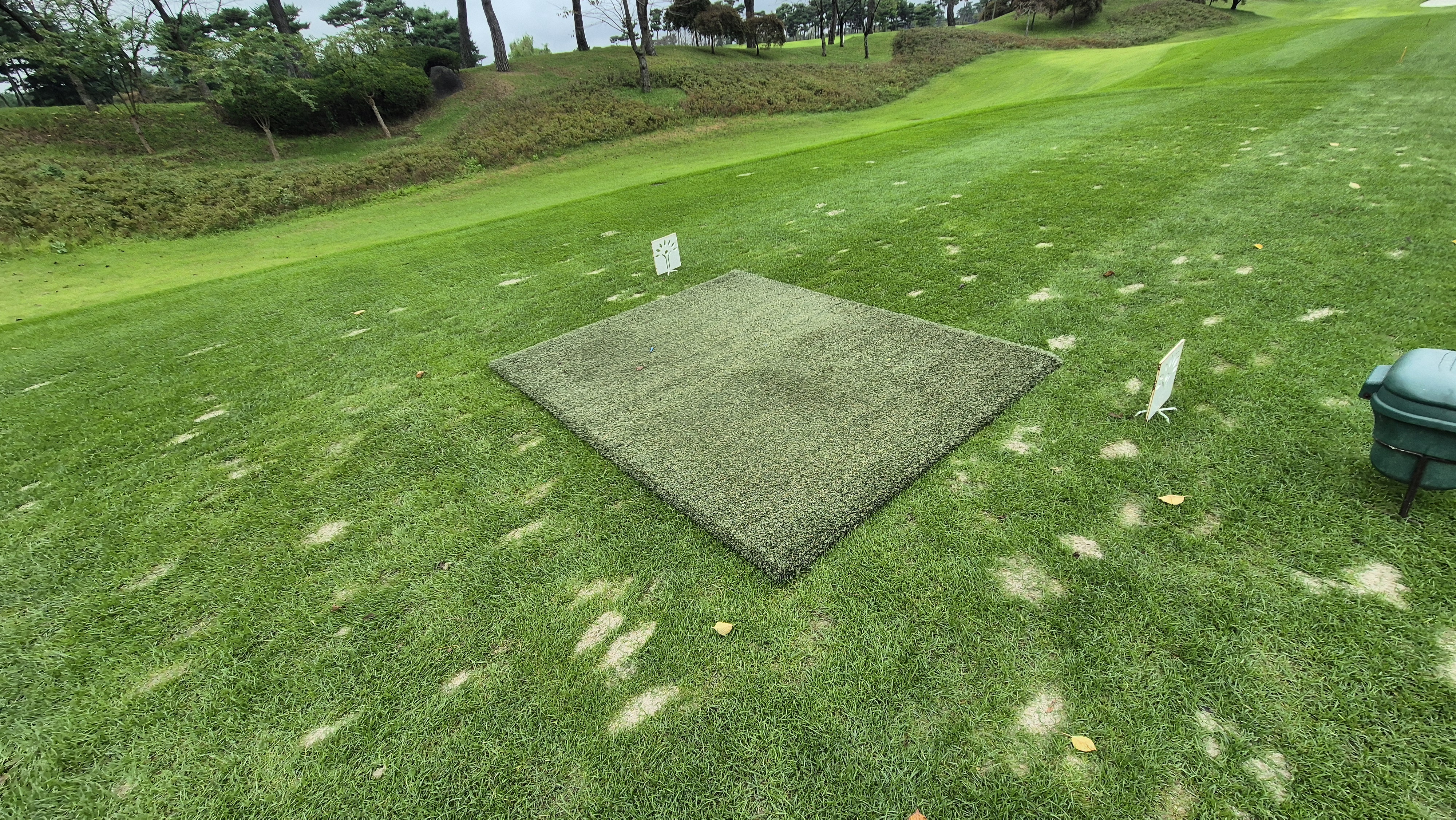 파인스톤cc 티잉구역 상태