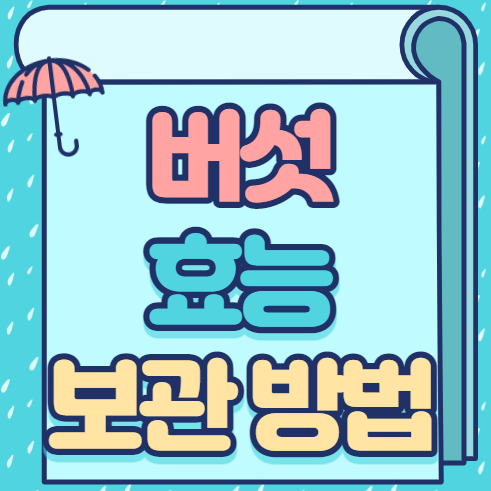 버섯 종류에 따른 효능