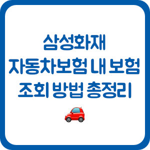 삼성화재 자동차보험 내 보험 조회 방법 총정리 🚗