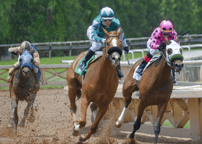 2024 렛츠런파크 서울 가을축제 밤마실 페스티벌