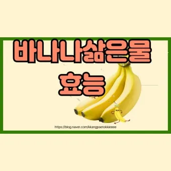 바나나물 효능 원리 부작용_13