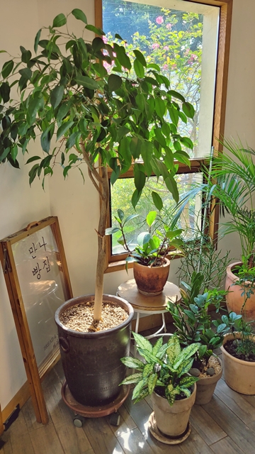 나만-알고-싶은-제주동쪽-감성여행-필수-코스-종달여행-만나빵집-책약방-잼있는집