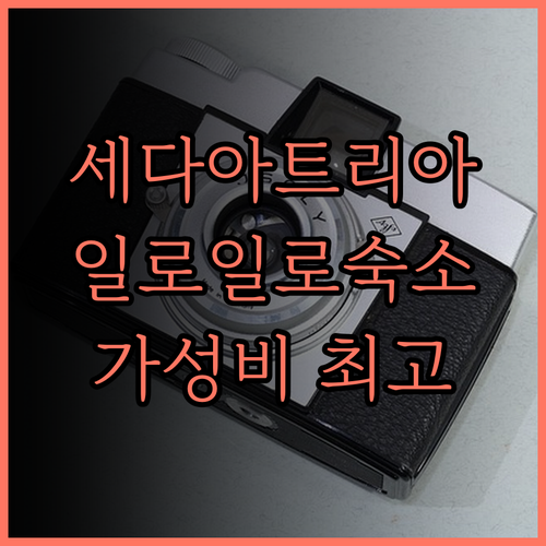세다 아트리아 숙박 후기 훌륭한 서비