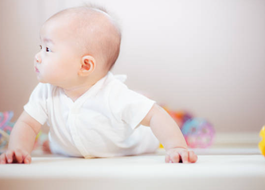 6개월~8개월 성장패턴과 발달