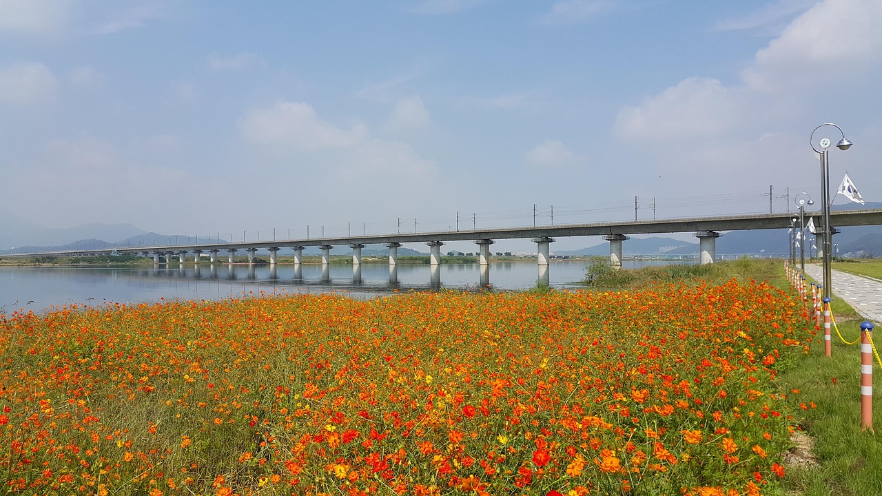 용산역 KTX 열차시간표, 예매방법, 주차장 안내 총정리