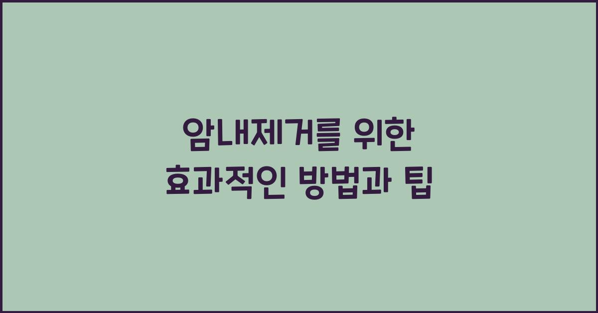 암내제거