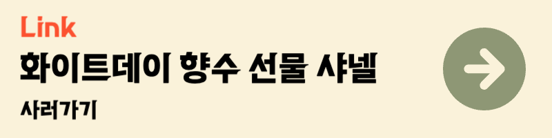 화이트데이 여자친구 아내 와이프 받고싶은 선물 향수 추천 샤넬 샹스 오 땅드르