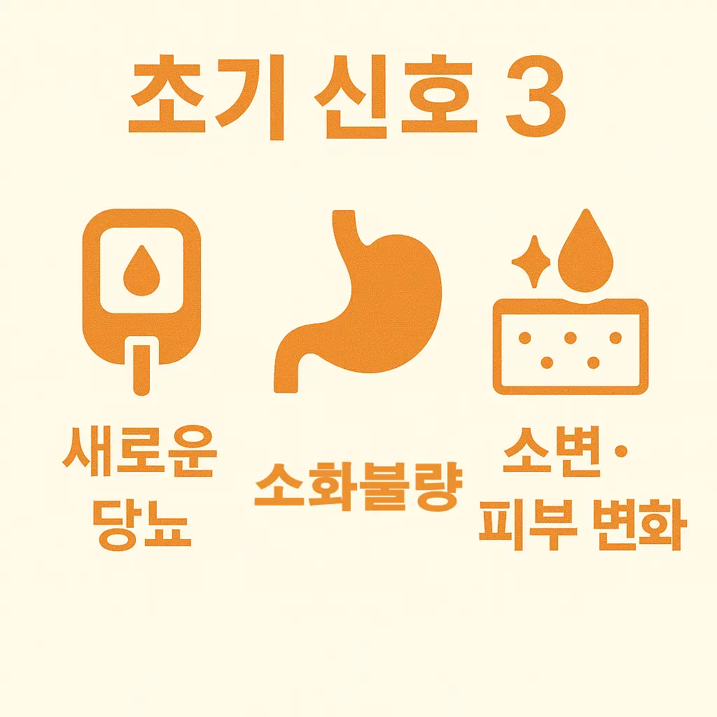 췌장암 초기증상 신호 3을 안내하는 인포그래픽으로 새로운 당뇨 진단, 소화불량, 소변 및 피부 변화 등 신체 이상 징후를 설명하는 이미지입니다.