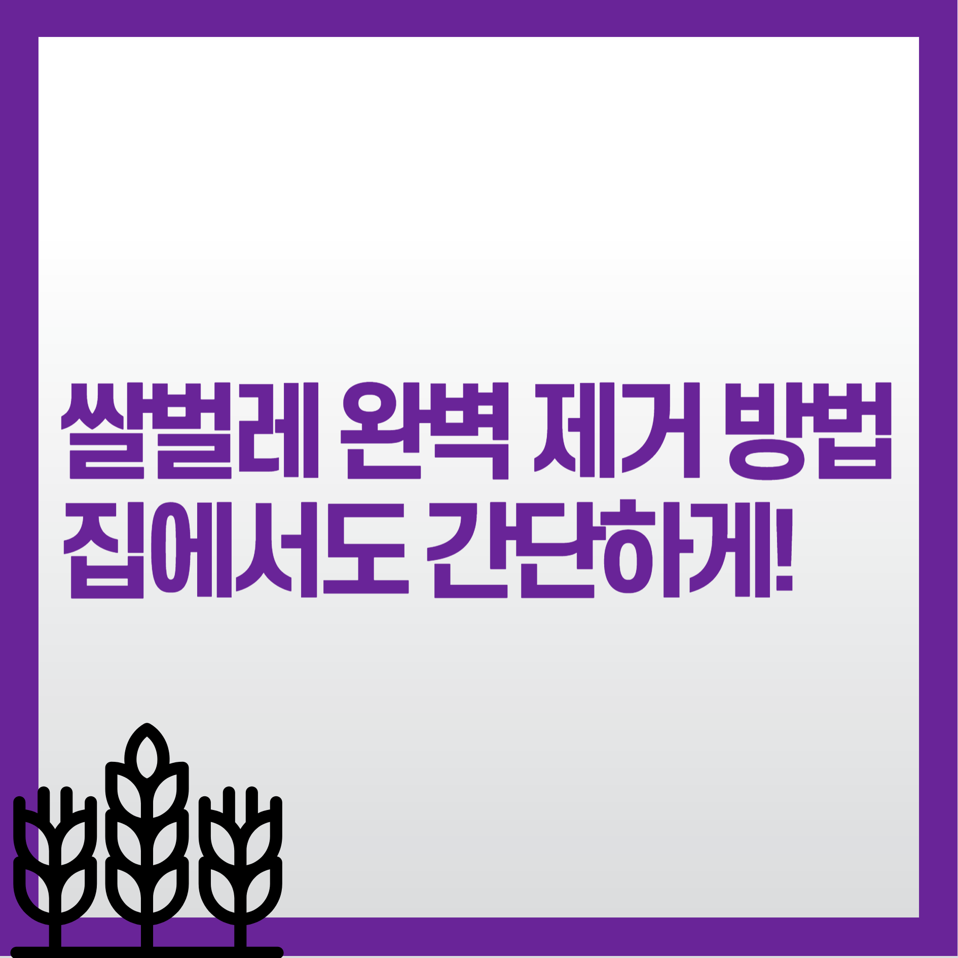 쌀벌레 완벽 제거 방법