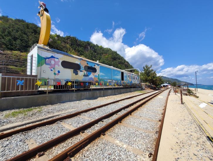 강릉 겨울여행 아이와 가볼만 한 곳 best3