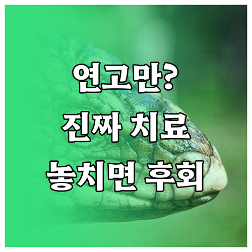 대상포진 치료 연고 사용의 진실과 항..