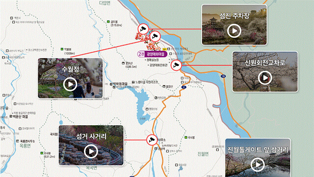 24년 광양 매화 축제 일정 요금 주차
