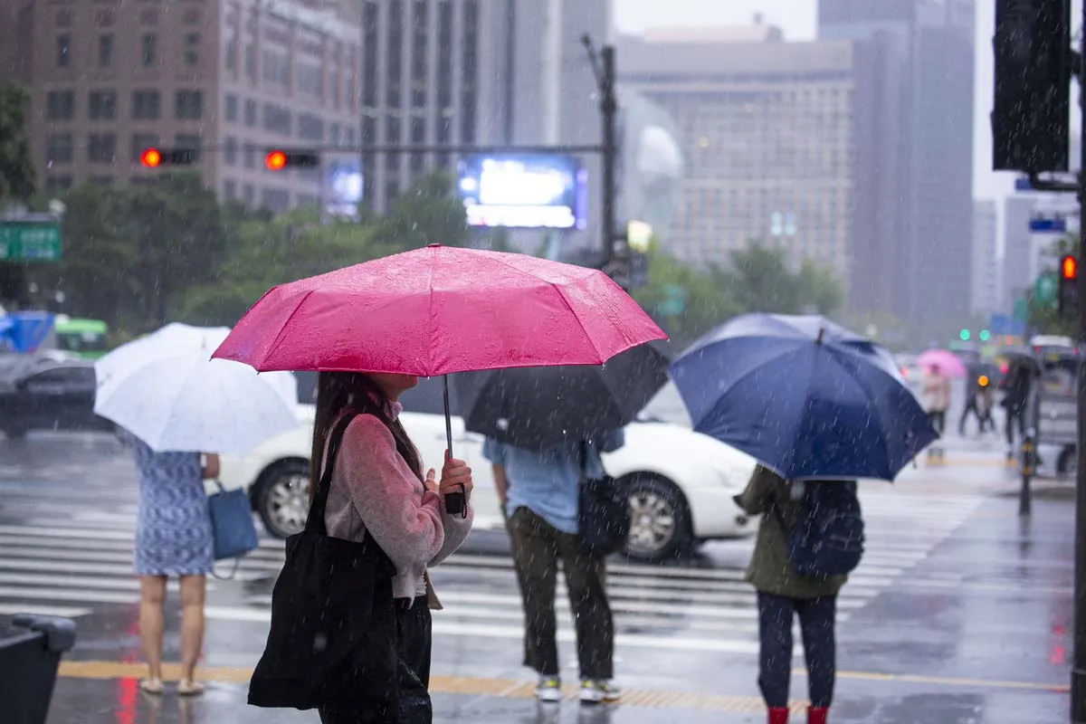 올해 장마 시작 종료일 정리 2025년 완벽 날씨 정보_3
