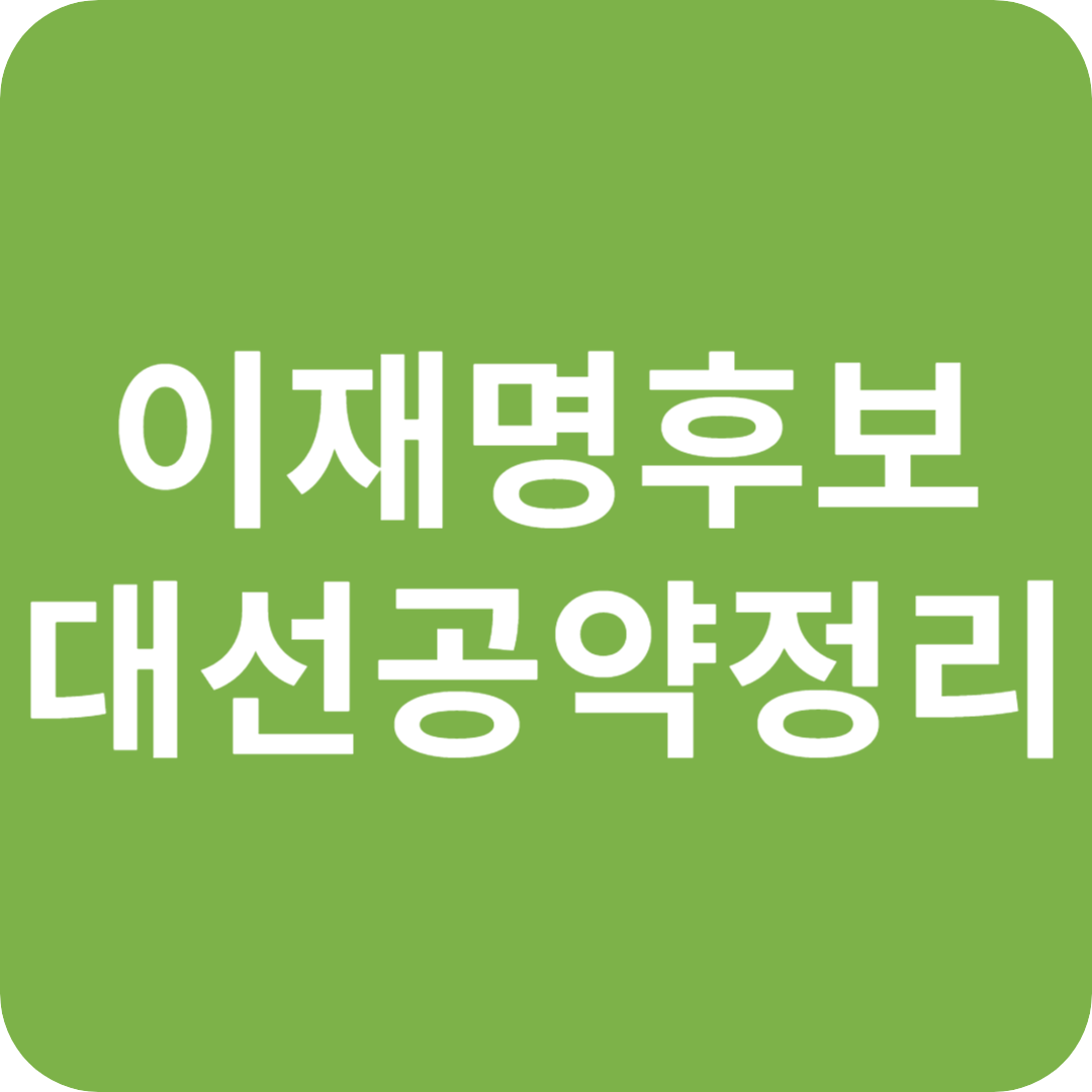 이재명 후보 대선 공약 정리