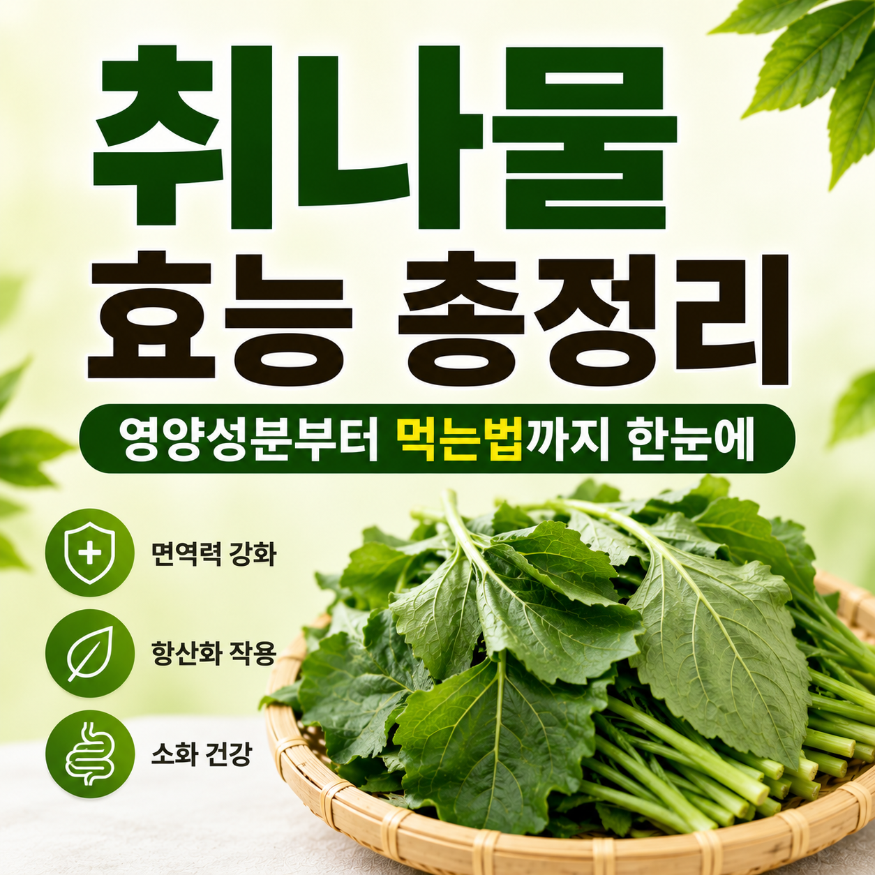 취나물 효능