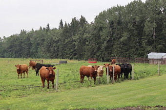 청양군농어촌기본소득사업선정