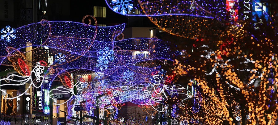 부산 광복로 겨울빛 트리축제