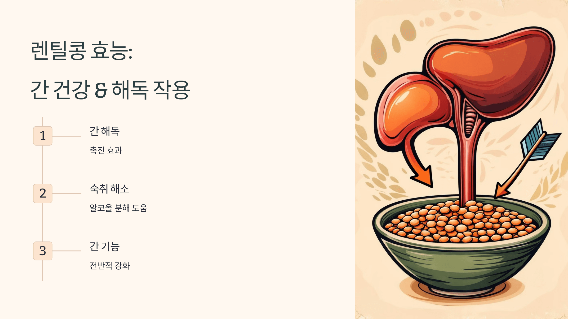 렌틸콩 사진입니다.