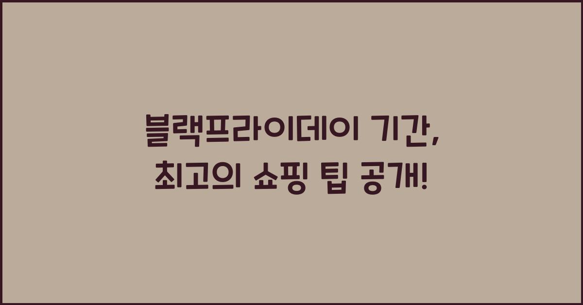블랙프라이데이 기간
