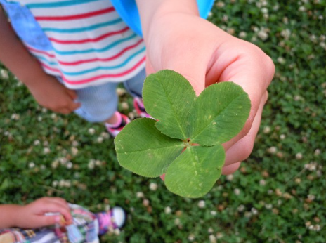네잎 클로버