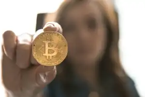 인터넷 자동차보험비교견적사이트