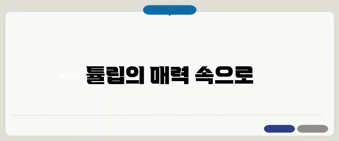 암스테르담 튤립페스티벌 마지막 순간을 즐길 명소 BEST7입니다.