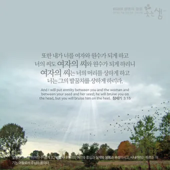 창세기 3장 원죄 구원 묵상_10