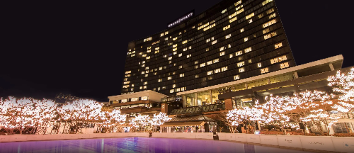 서울 하얏트 호텔 아이스링크와 호텔에 꾸며진 불빛 트리