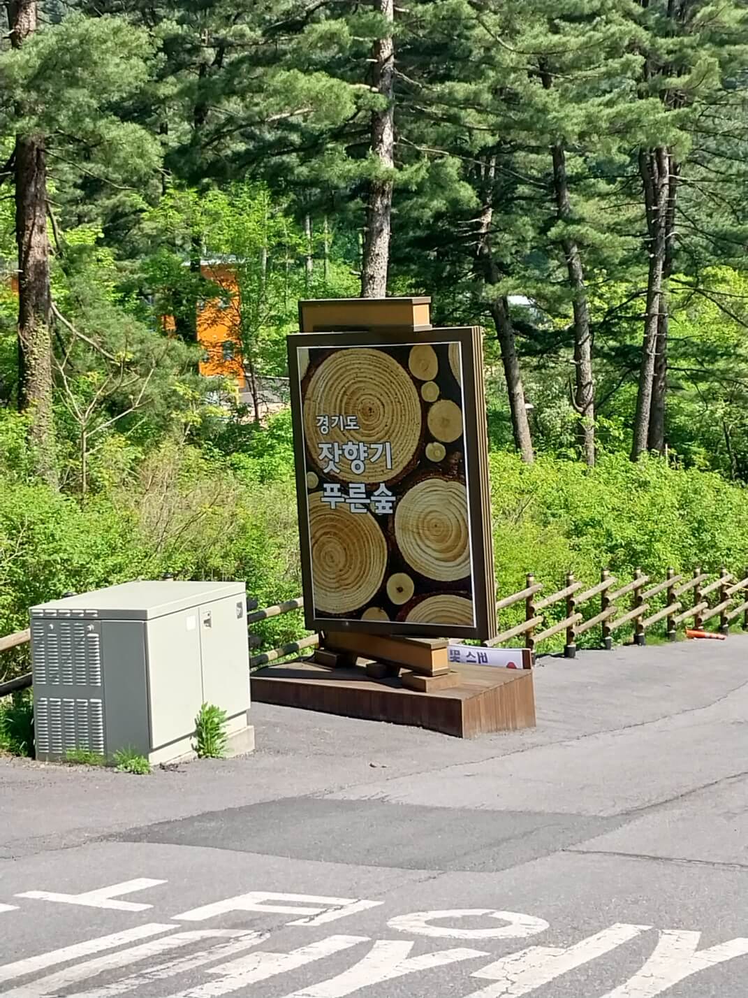다양한 체험활동이 가능한 '잣향기푸른숲'