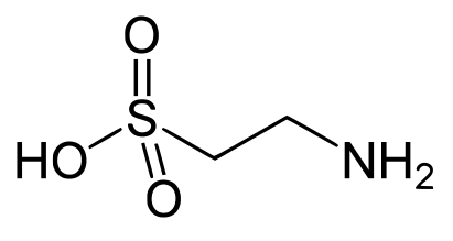 타우린 보충제 의미없다 사이언스지 발표 충격적 연구결과로 뒤바뀐 노화 방지 상식