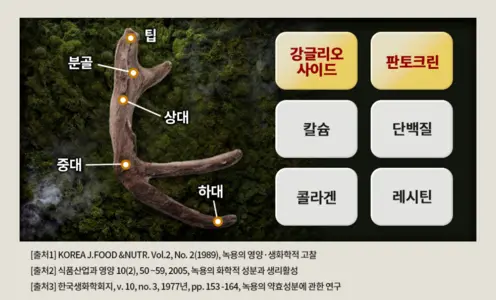 광동 침향환 프리미엄 솔직 섭취 후기