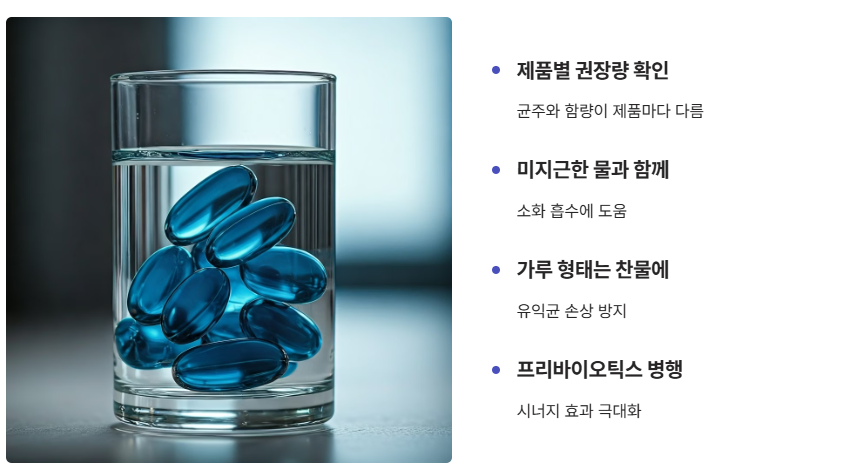 낙산균 복용 방법, 권장량, 그리고 최적의 시간