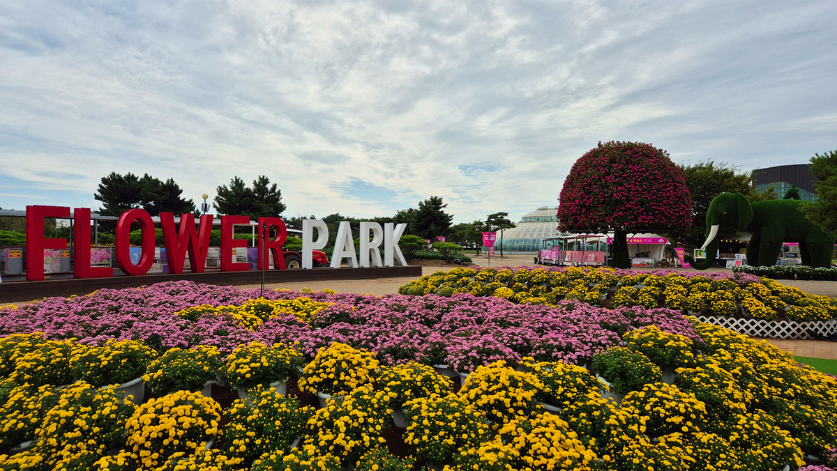 9월 13일 개화현황3