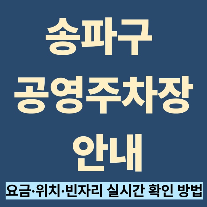 송파구 공영주차장 찾기|요금·위치·빈자리 실시간 확인 방법