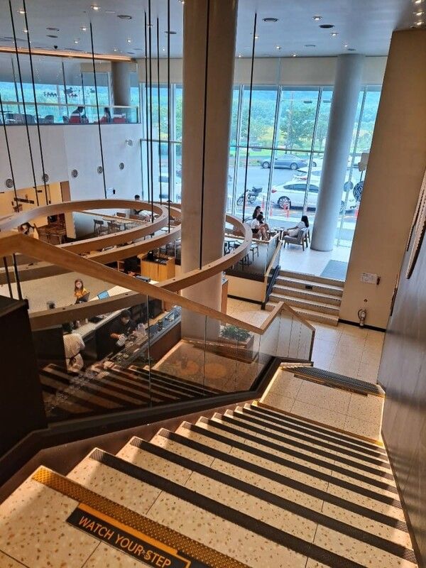 벚꽃보며 커피 마시기 좋은 스타벅스 벚꽃 매장들 소개