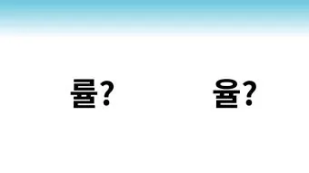 율 률 맞춤법 완벽정리 합격률 합격율_21